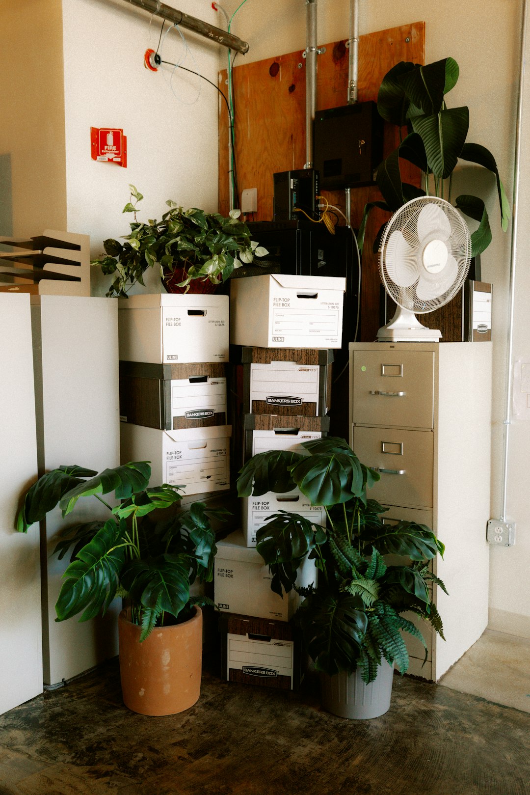 office-corner-with-plants-boxes-and-a-fan-qbewd1if8